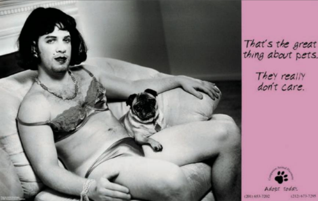 Adopt Today Campaign