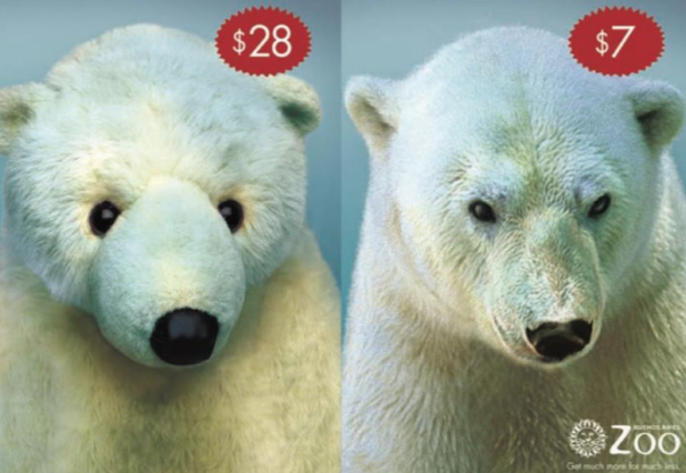 Buenos Aires Zoo Campaign